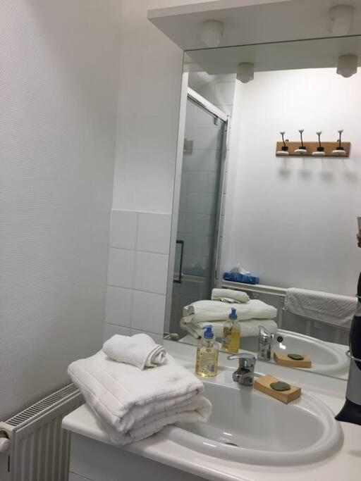 Bel Appartement Climatise Plein Centre Ville 푸아티에 외부 사진